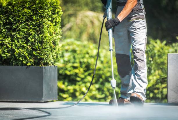 Best Building Exterior Washing  in Alb, IA
