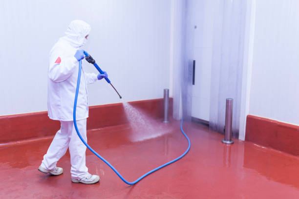 Reliable Albia, IA Pressure Washing Solutions