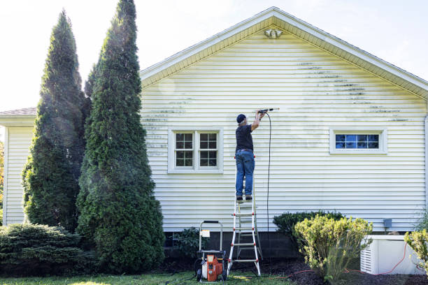 Best Dumpster Area Cleaning  in Alb, IA
