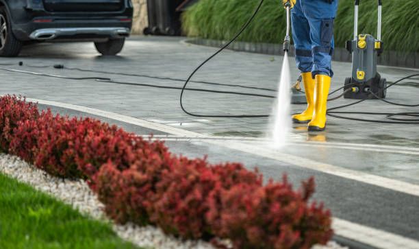 Best Fence Cleaning  in Alb, IA