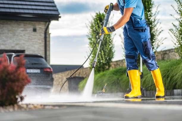 Best Gutter Cleaning  in Alb, IA